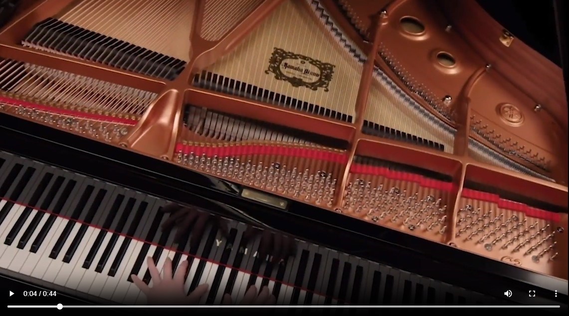 ویدئو وله وب سایت نمایندگی یاماها